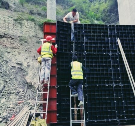 微信图片_20230802135353_1_副本